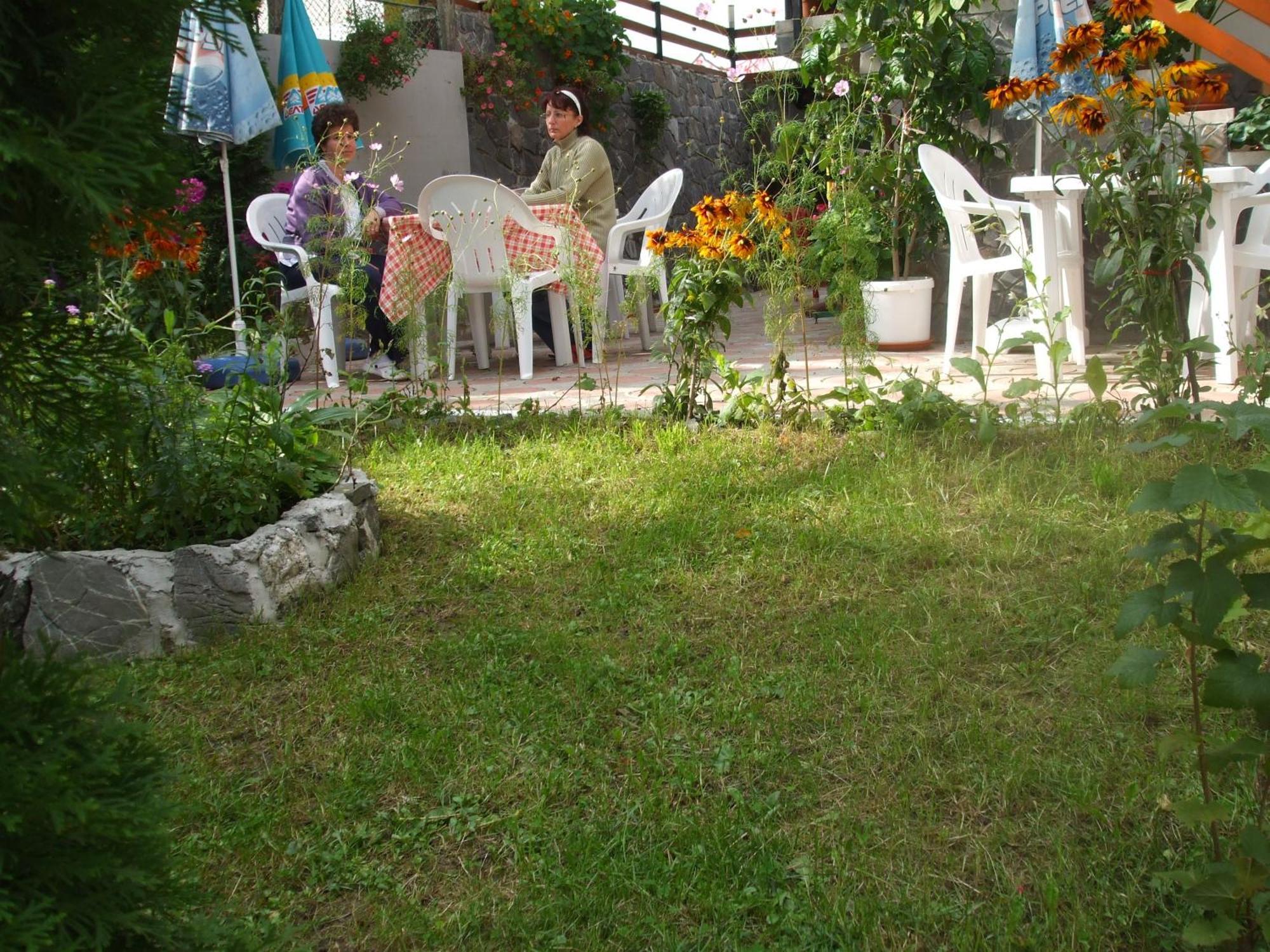 Vila Ana-Maria Синая Экстерьер фото