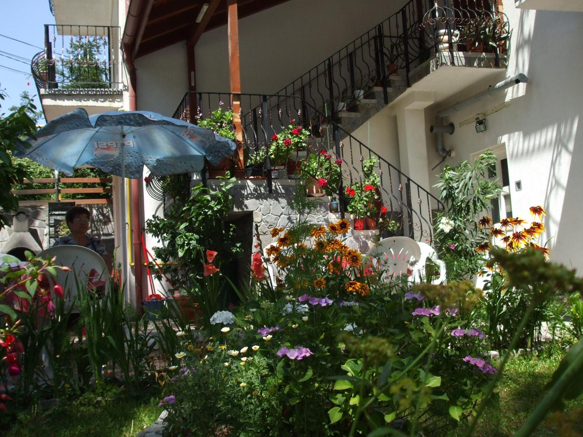 Vila Ana-Maria Синая Экстерьер фото