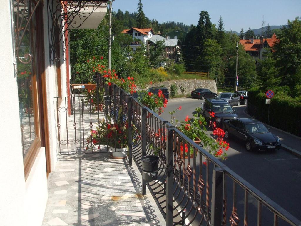 Vila Ana-Maria Синая Экстерьер фото